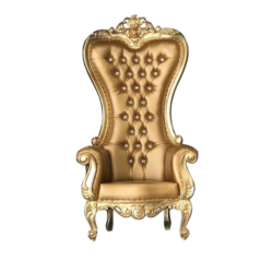 Kursi Sultan Sembilan delapan